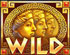Slot Wild Symbol