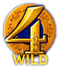 Slot Wild Symbol
