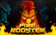 Fire Rooster