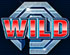 Slot Wild Symbol