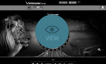 AfriCasino Screenshot